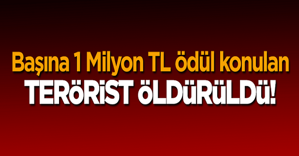 1 Milyonluk PKK’lı Terörist  Dağlıca’da Ölü Ele Geçirildi